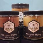 Breezy Hollow Bees
