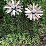 Woodland Creationz