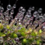 Matthew Weiss Photography