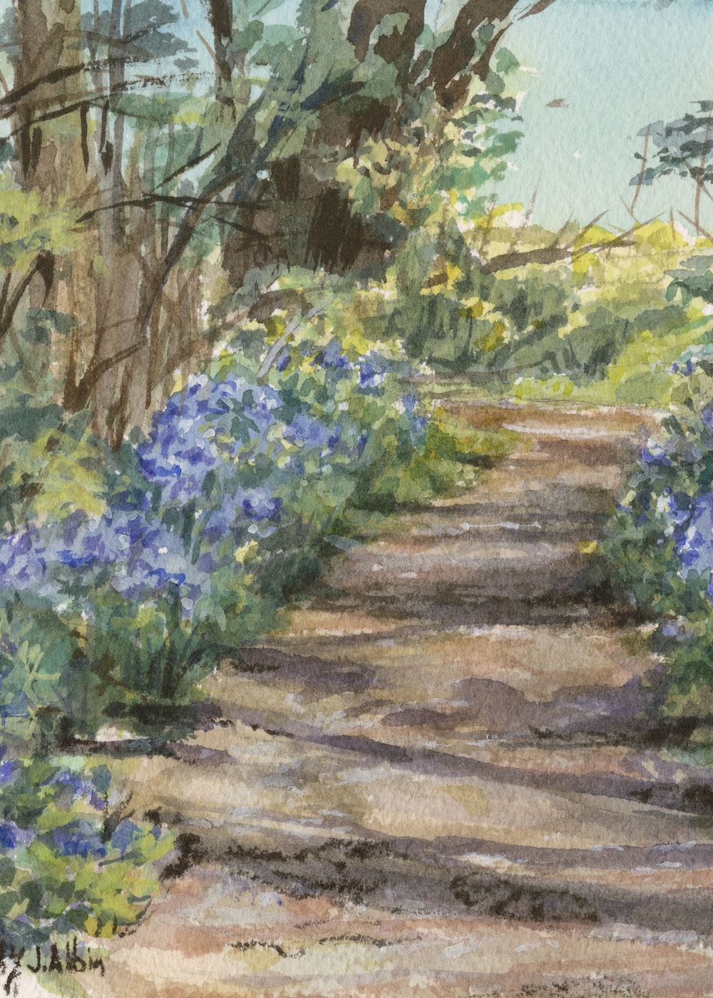 Jane Albin's Watercolor of Dale Ridge Trail Bluebells