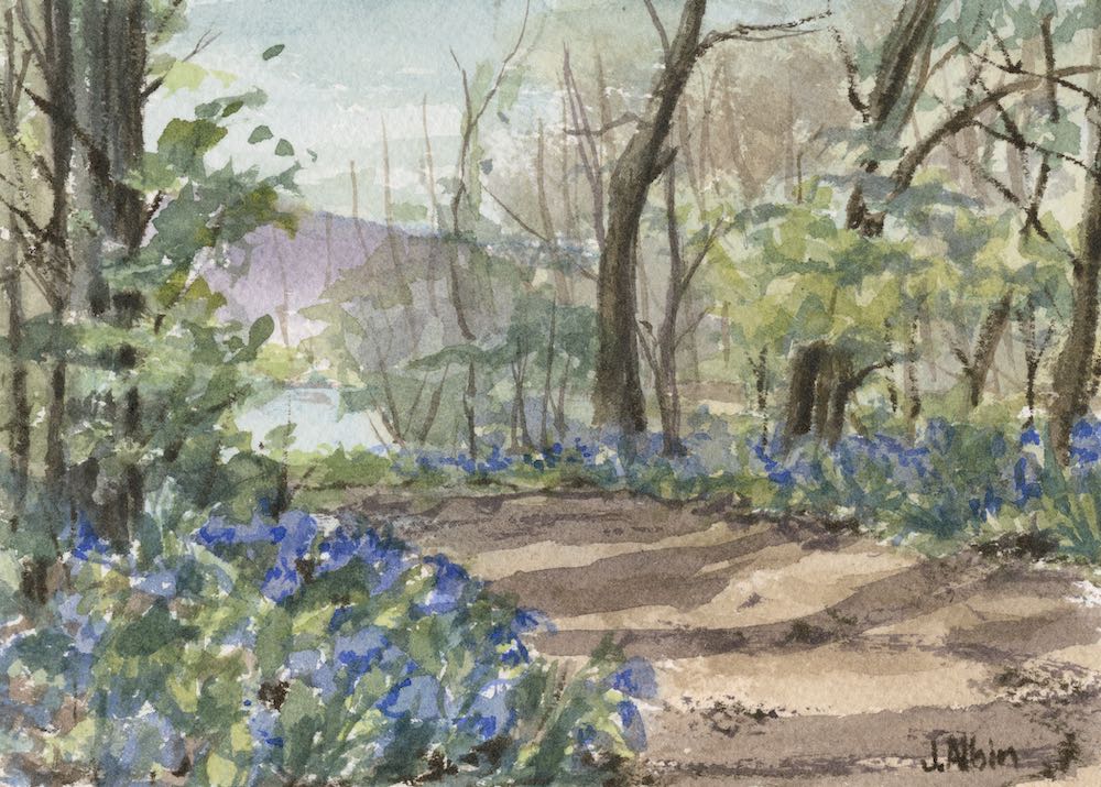 2023 Celebration Featured Artist Jane Albin's Watercolor Painting of Bluebells on Dale's Ridge Trail