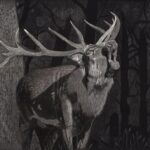 Forest Song by Lynn Kibbe