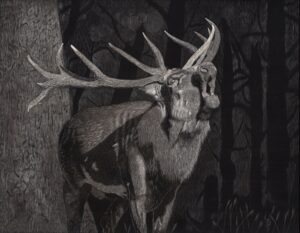 Forest Song by Lynn Kibbe