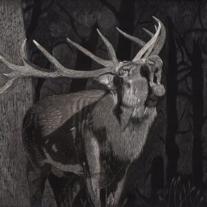 Forest Song by Lynn Kibbe