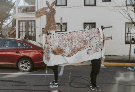 Handmade Parade Puppet