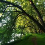 Milton State Park - Photo Walk