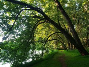 Milton State Park - Photo Walk
