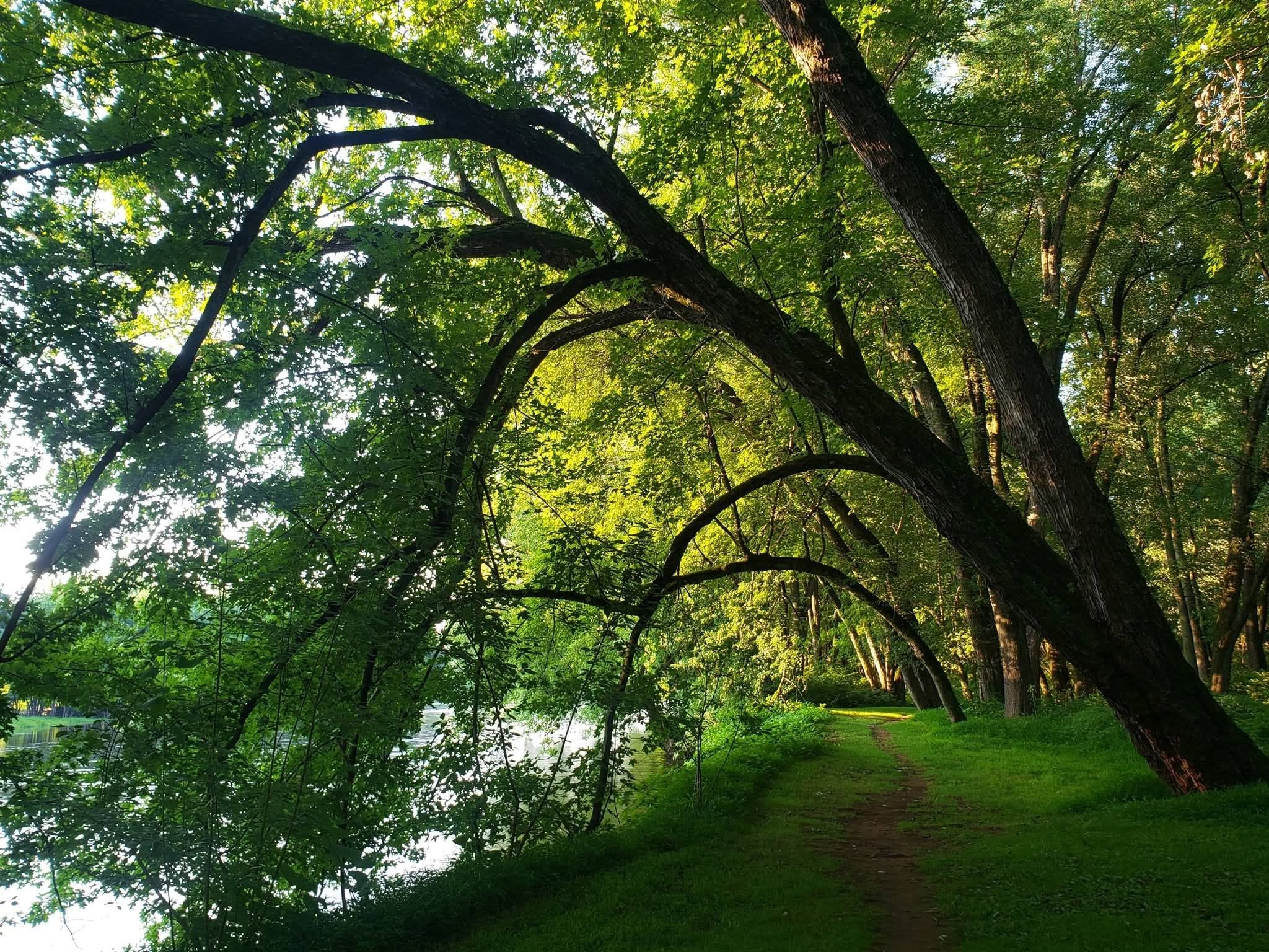 Milton State Park - Photo Walk