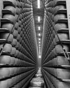 Black and White Photography