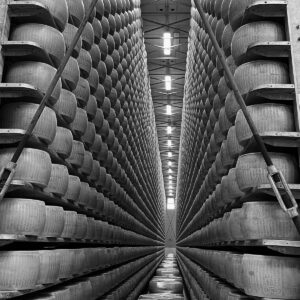 Black and White Photography