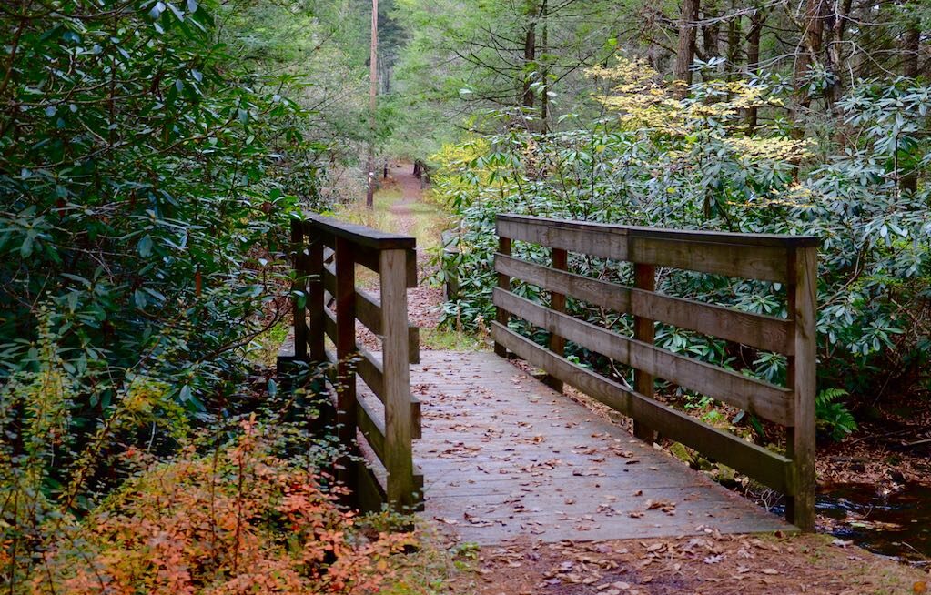 Photograph of foot bridge at RB Winter State Park