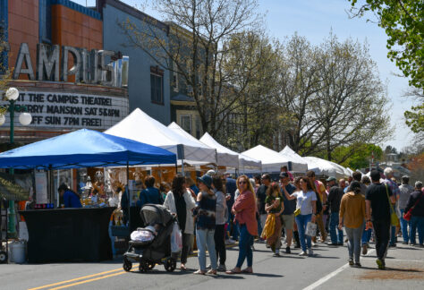 Lewisburg Arts Festival Artist Booths on Market St with crowds