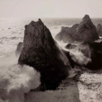 Samek Art Museum - Drop, Ripple, Wave